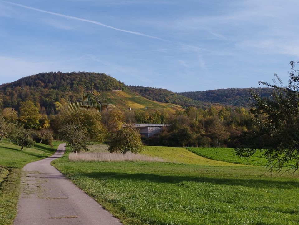 Feldweg durch die Weinberge – Radfahren im Kochertal